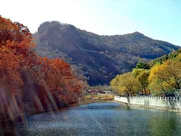 松原市园林管理局领导团队最新概述